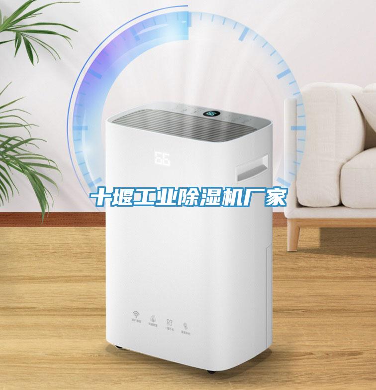 十堰工業除濕機廠家