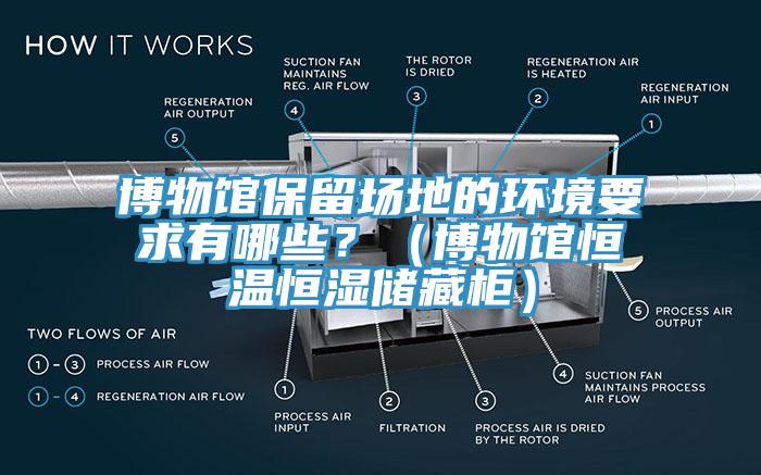 博物館保留場地的環境要求有哪些？（博物館恒溫恒濕儲藏柜）