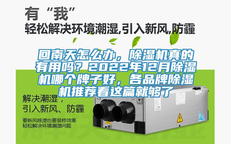 回南天怎么辦，除濕機真的有用嗎？2022年12月除濕機哪個牌子好，各品牌除濕機推薦看這篇就夠了