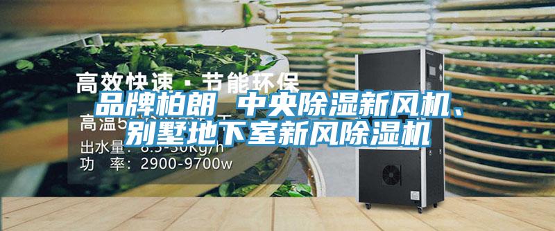 品牌柏朗 中央除濕新風機、別墅地下室新風除濕機