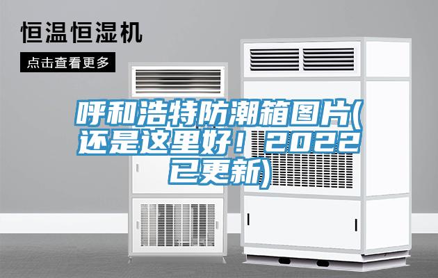 呼和浩特防潮箱圖片(還是這里好！2022已更新)