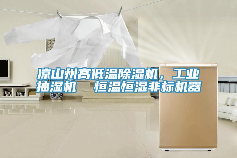 涼山州高低溫除濕機，工業抽濕機  恒溫恒濕非標機器