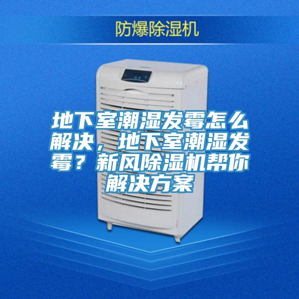 地下室潮濕發霉怎么解決，地下室潮濕發霉？新風除濕機幫你解決方案