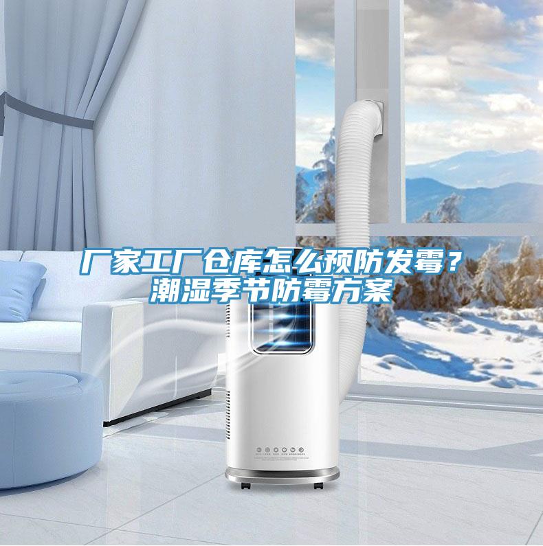 廠家工廠倉庫怎么預防發霉?潮濕季節防霉方案