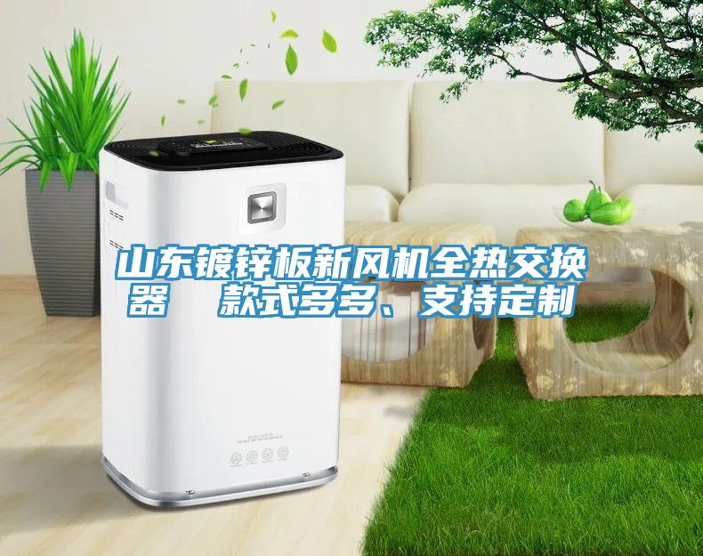 山東鍍鋅板新風(fēng)機(jī)全熱交換器  款式多多、支持定制