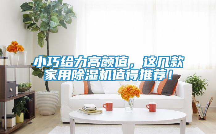小巧給力高顏值，這幾款家用除濕機值得推薦！