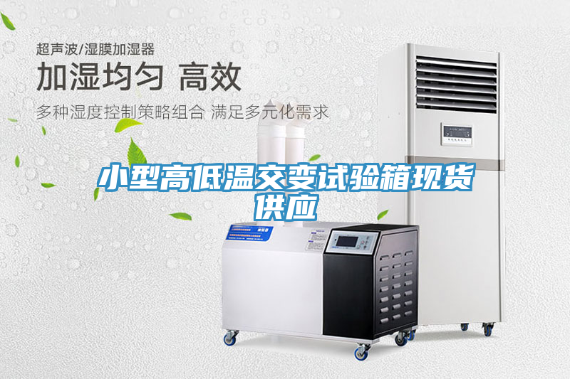 小型高低溫交變試驗箱現貨供應