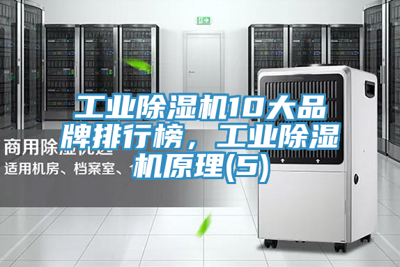 工業除濕機10大品牌排行榜，工業除濕機原理(5)