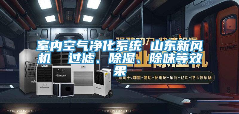 室內空氣凈化系統 山東新風機 過濾、除濕、除味等效果