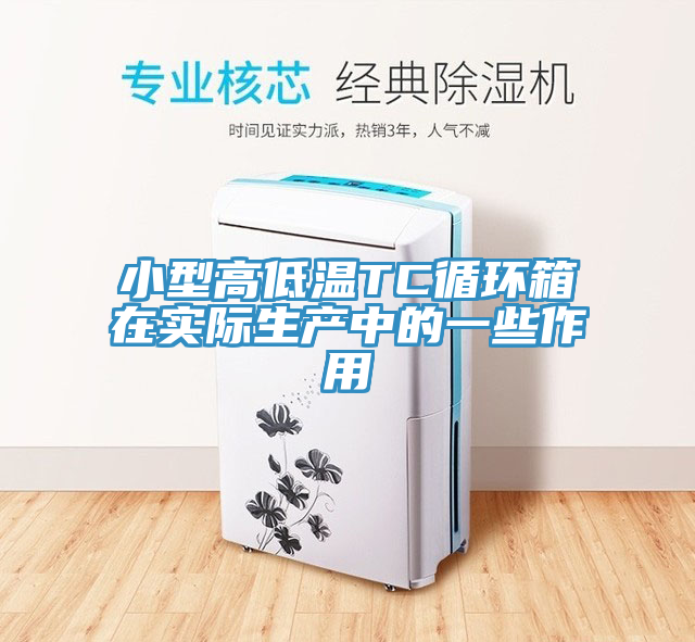 小型高低溫TC循環箱在實際生產中的一些作用