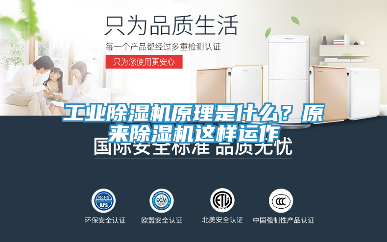 工業除濕機原理是什么?原來除濕機這樣運作