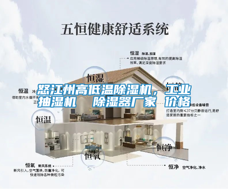 怒江州高低溫除濕機，工業抽濕機  除濕器廠家 價格