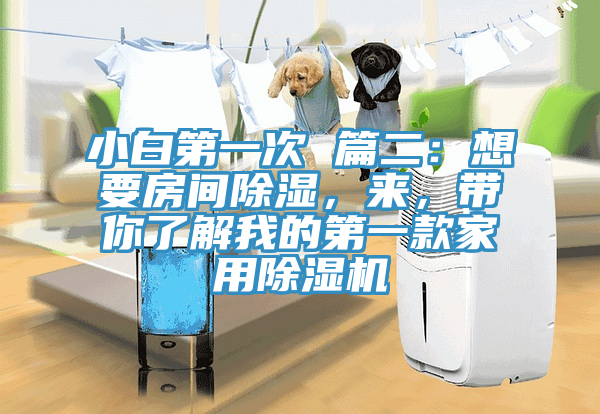 小白第一次 篇二：想要房間除濕，來，帶你了解我的第一款家用除濕機