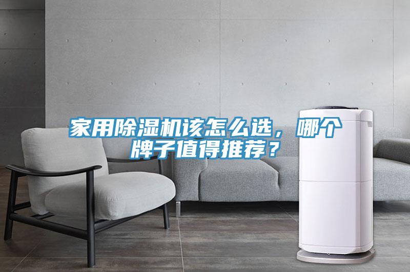 家用除濕機(jī)該怎么選,哪個(gè)牌子值得推薦?