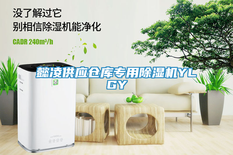 懿凌供應(yīng)倉(cāng)庫(kù)專用除濕機(jī)YLGY