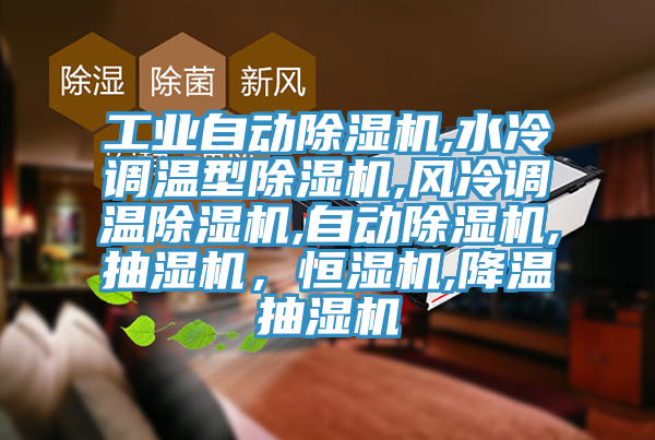 工業(yè)自動除濕機,水冷調溫型除濕機,風冷調溫除濕機,自動除濕機,抽濕機,恒濕機,降溫抽濕機