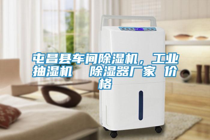屯昌縣車間除濕機，工業抽濕機  除濕器廠家 價格