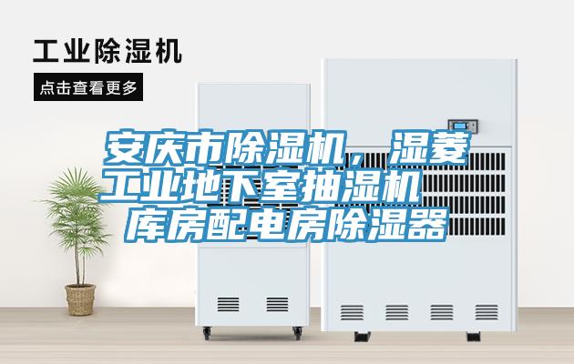 安慶市除濕機(jī)，濕菱工業(yè)地下室抽濕機(jī)  庫房配電房除濕器