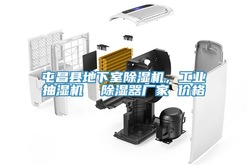 屯昌縣地下室除濕機，工業抽濕機  除濕器廠家 價格
