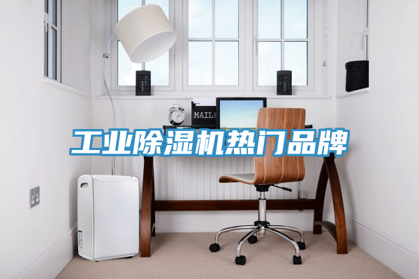 工業除濕機熱門品牌
