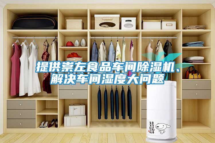 提供崇左食品車間除濕機、解決車間濕度大問題