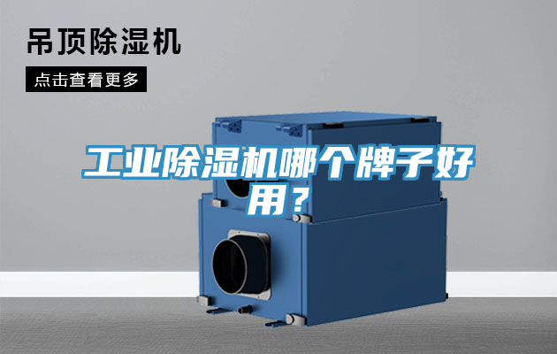 工業除濕機哪個牌子好用？