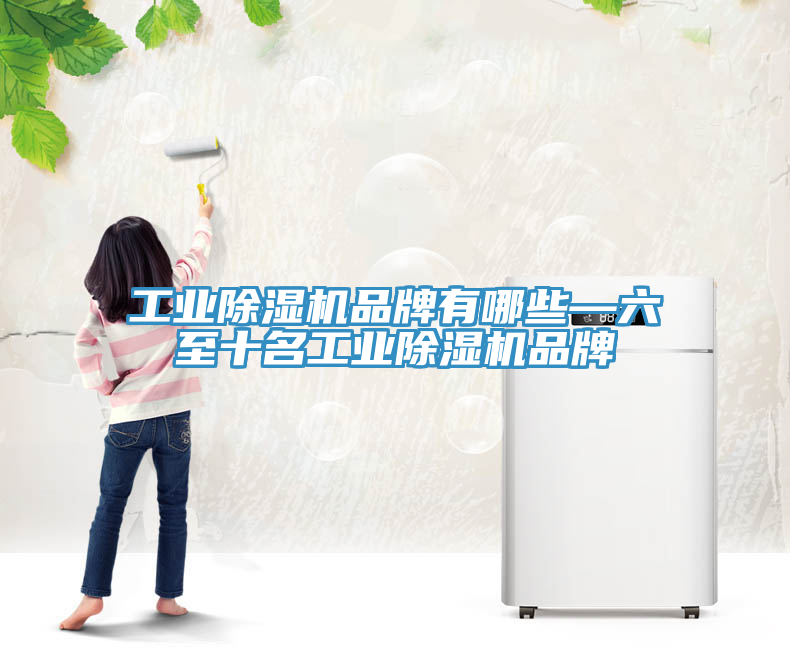 工業除濕機品牌有哪些—六至十名工業除濕機品牌