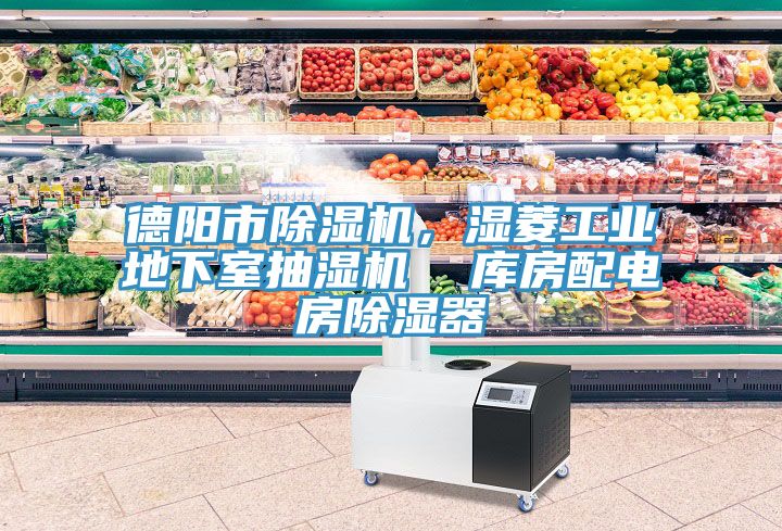 德陽市除濕機，濕菱工業地下室抽濕機  庫房配電房除濕器