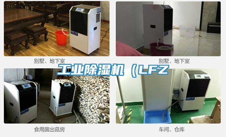 工業除濕機（LFZ