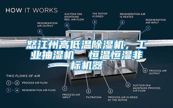 怒江州高低溫除濕機，工業(yè)抽濕機  恒溫恒濕非標機器