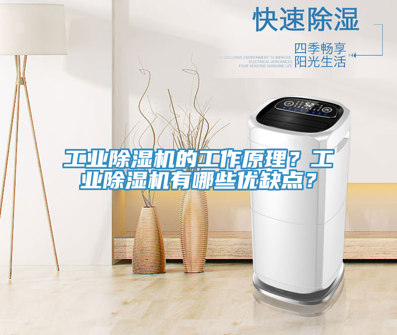 工業除濕機的工作原理？工業除濕機有哪些優缺點？