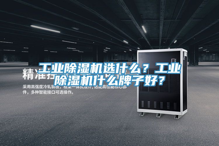 工業(yè)除濕機選什么？工業(yè)除濕機什么牌子好？