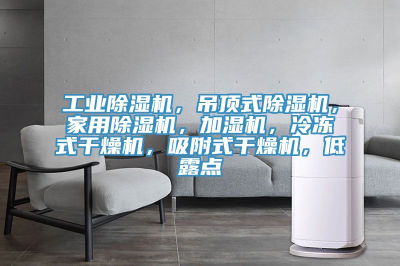 工業除濕機，吊頂式除濕機，家用除濕機，加濕機，冷凍式干燥機，吸附式干燥機，低露點