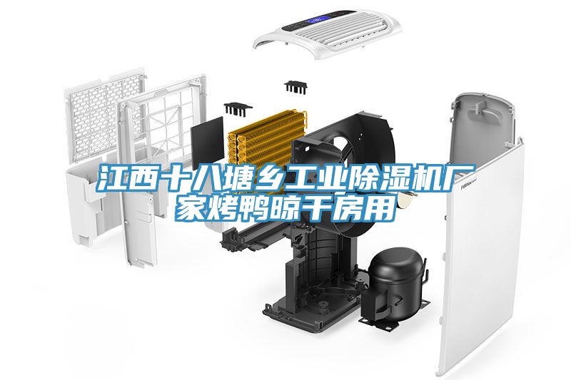 江西十八塘鄉工業除濕機廠家烤鴨晾干房用