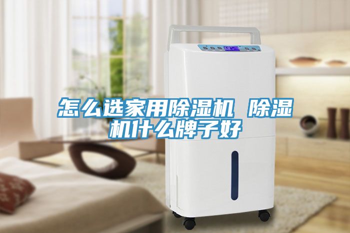 怎么選家用除濕機 除濕機什么牌子好