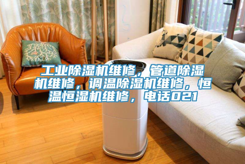 工業(yè)除濕機(jī)維修,管道除濕機(jī)維修,調(diào)溫除濕機(jī)維修,恒溫恒濕機(jī)維修,電話021