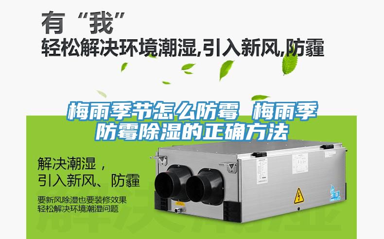 梅雨季節(jié)怎么防霉 梅雨季防霉除濕的正確方法