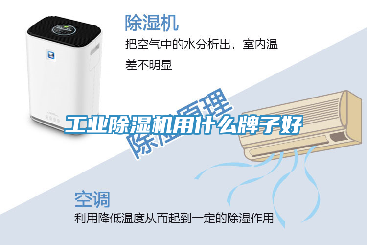 工業除濕機用什么牌子好