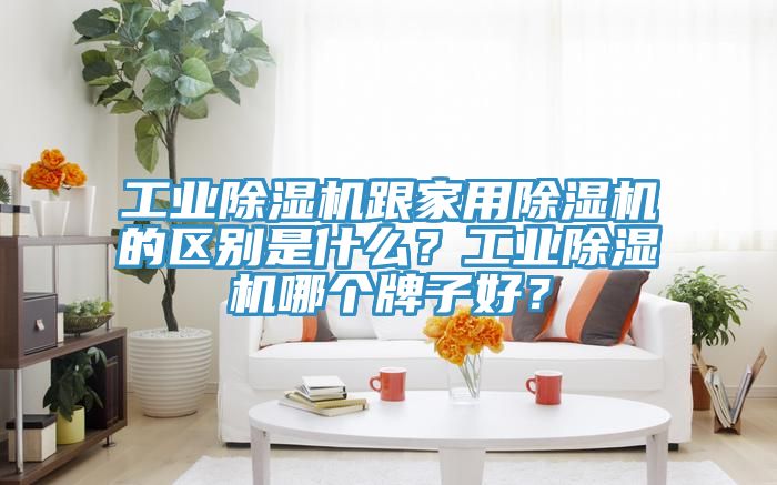 工業(yè)除濕機跟家用除濕機的區(qū)別是什么？工業(yè)除濕機哪個牌子好？