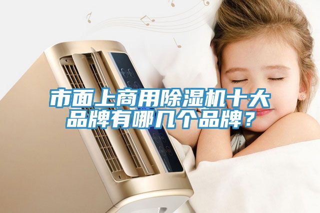 市面上商用除濕機十大品牌有哪幾個品牌？