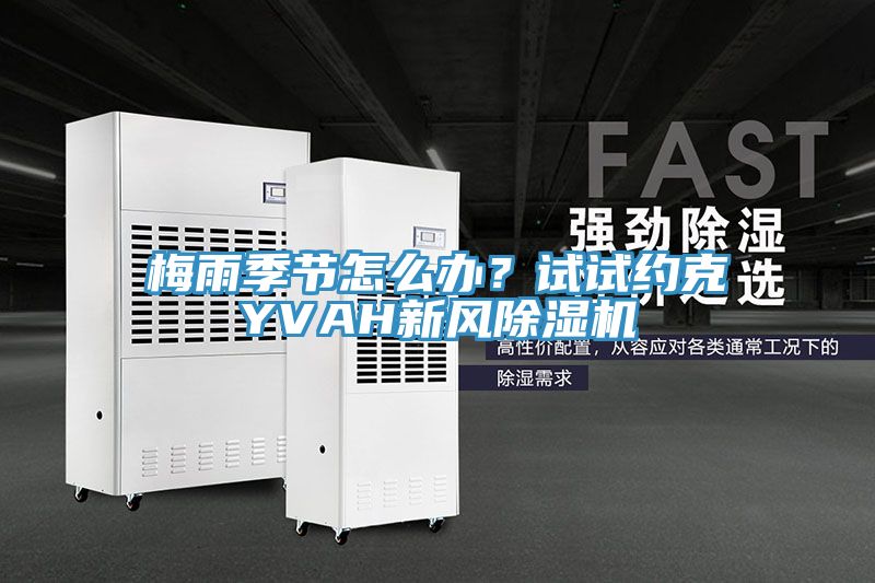 梅雨季節怎么辦？試試約克YVAH新風除濕機