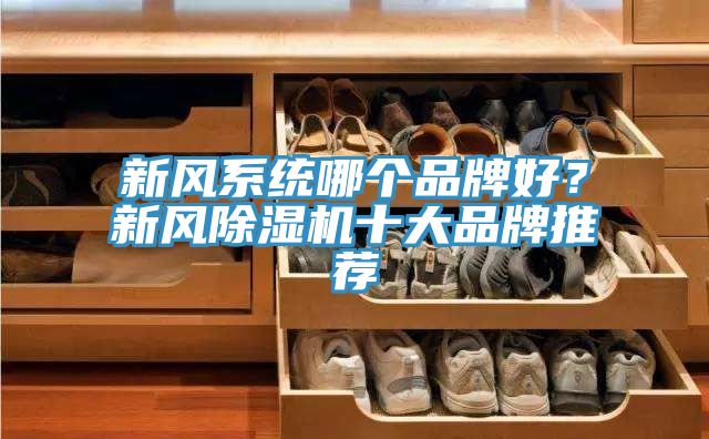新風(fēng)系統(tǒng)哪個(gè)品牌好？新風(fēng)除濕機(jī)十大品牌推薦
