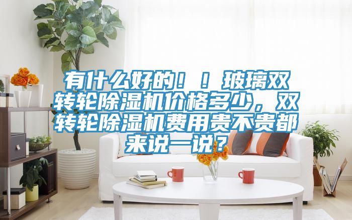 有什么好的！！玻璃雙轉(zhuǎn)輪除濕機(jī)價(jià)格多少，雙轉(zhuǎn)輪除濕機(jī)費(fèi)用貴不貴都來(lái)說(shuō)一說(shuō)？