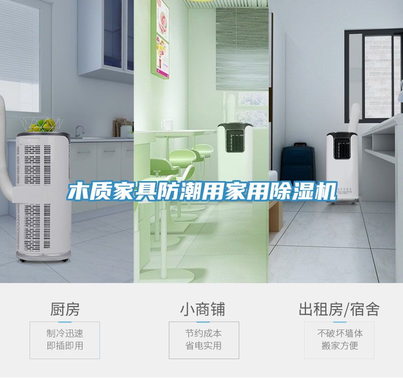 木質(zhì)家具防潮用家用除濕機