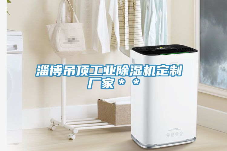淄博吊頂工業除濕機定制 廠家**