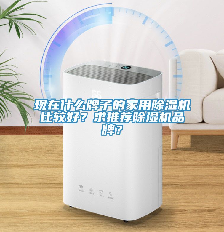 現在什么牌子的家用除濕機比較好？求推薦除濕機品牌？