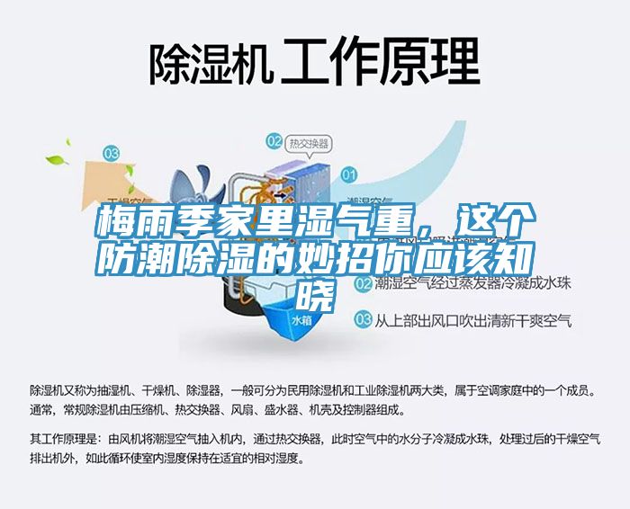 梅雨季家里濕氣重，這個防潮除濕的妙招你應該知曉