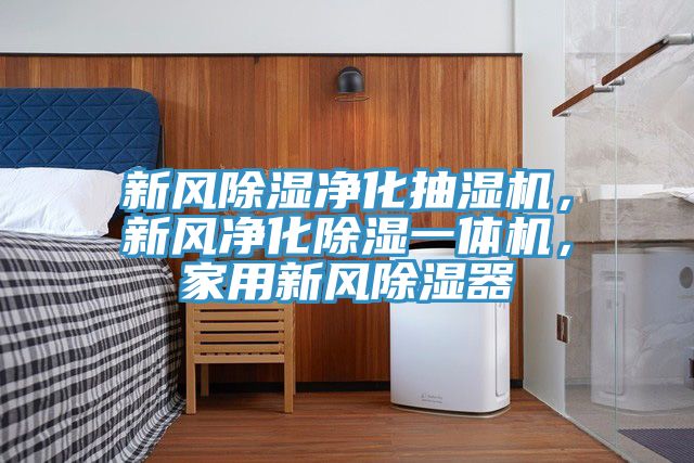 新風除濕凈化抽濕機，新風凈化除濕一體機，家用新風除濕器