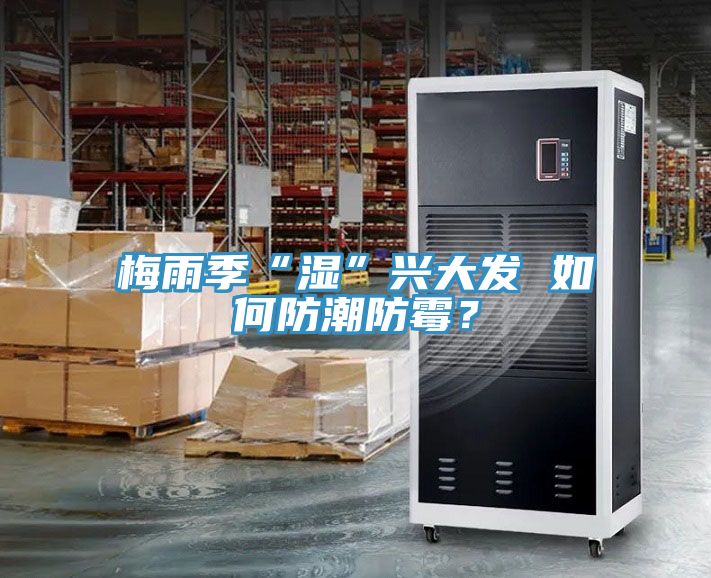 梅雨季“濕”興大發 如何防潮防霉？