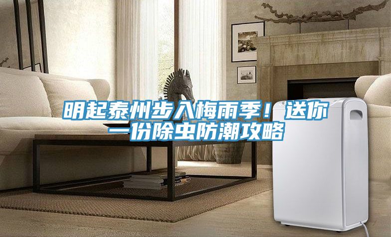 明起泰州步入梅雨季！送你一份除蟲防潮攻略